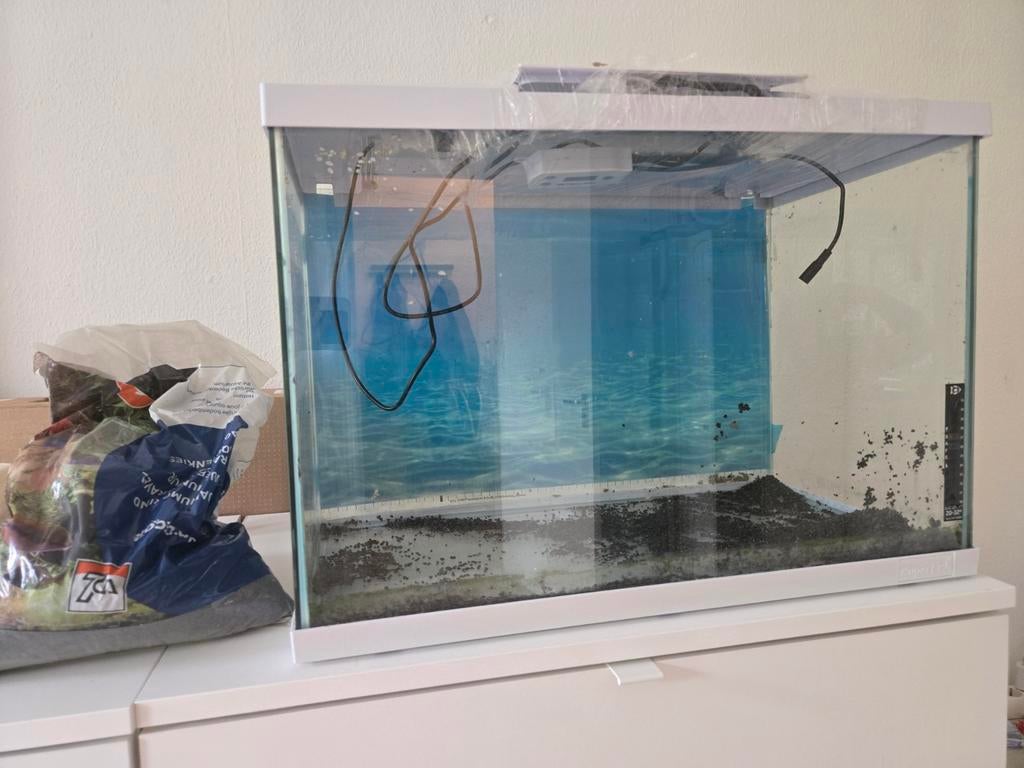 aquarium 60L, Vis, Zoutwatervis