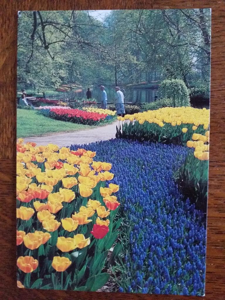 Lisse - Keukenhof, Verzenden, Ongelopen, Noord-Holland
