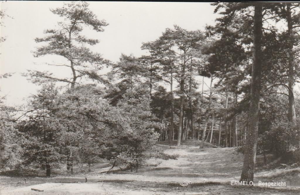 Ermelo, Verzamelen, Ansichtkaarten | Nederland, Ophalen of Verzenden, 1940 tot 1960, Ongelopen, Gelderland