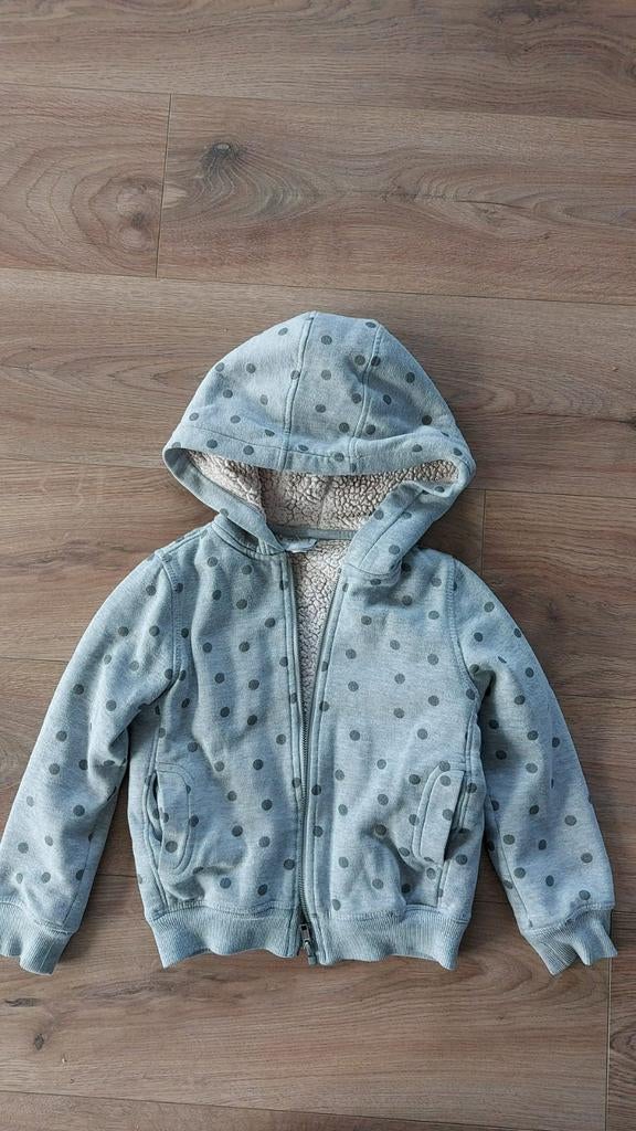 Lekker warm vest maat 110 van Hema, Ophalen of Verzenden, Zo goed als nieuw, Meisje, Trui of Vest