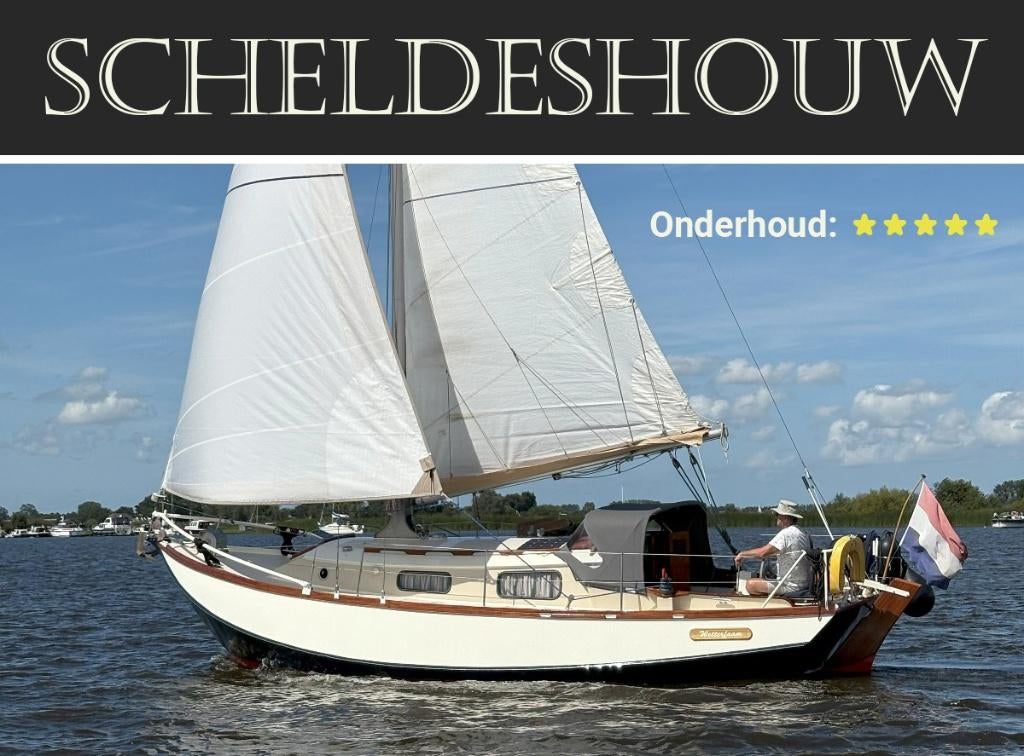 Scheldeschouw 9.5m - Uitstekend onderhouden, Ophalen, Zo goed als nieuw, Staal, Diesel
