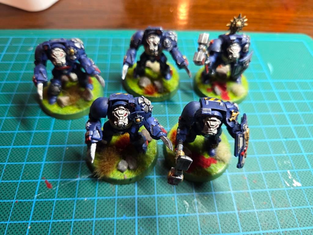 Terminator Squad (3), Ophalen of Verzenden, Zo goed als nieuw, Warhammer