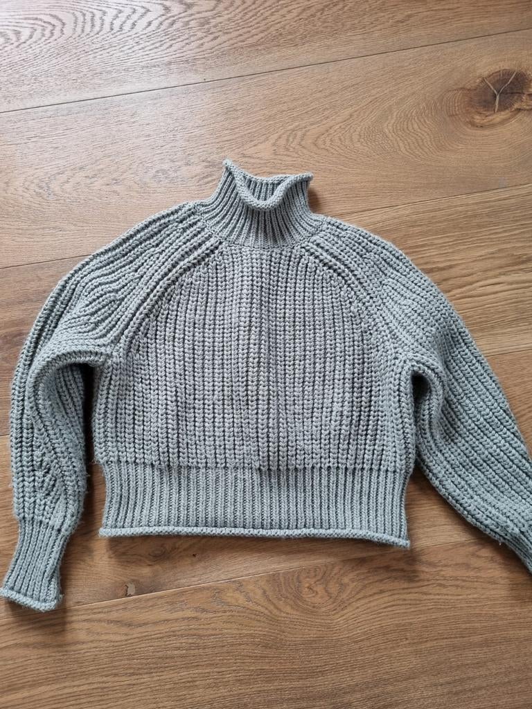 Wintertuin H & M mt S, Ophalen of Verzenden, Zo goed als nieuw, Maat 38/40 (M), Grijs