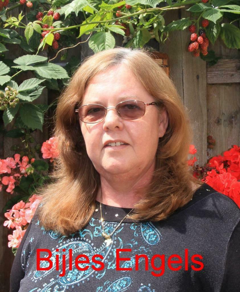 Bedrijfstraining Engels taaltraining vertaalster Ielts, Privéles, Bijles