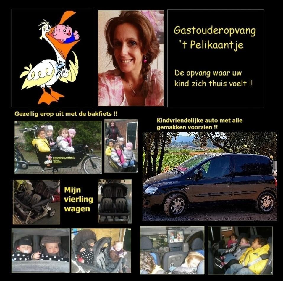 Gastouderopvang t' Pelikaantje, Gastouders