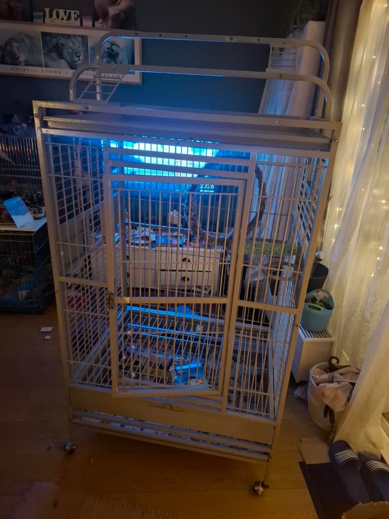 Grote stevige kooi, Ophalen, Zo goed als nieuw, Metaal, Vogelkooi