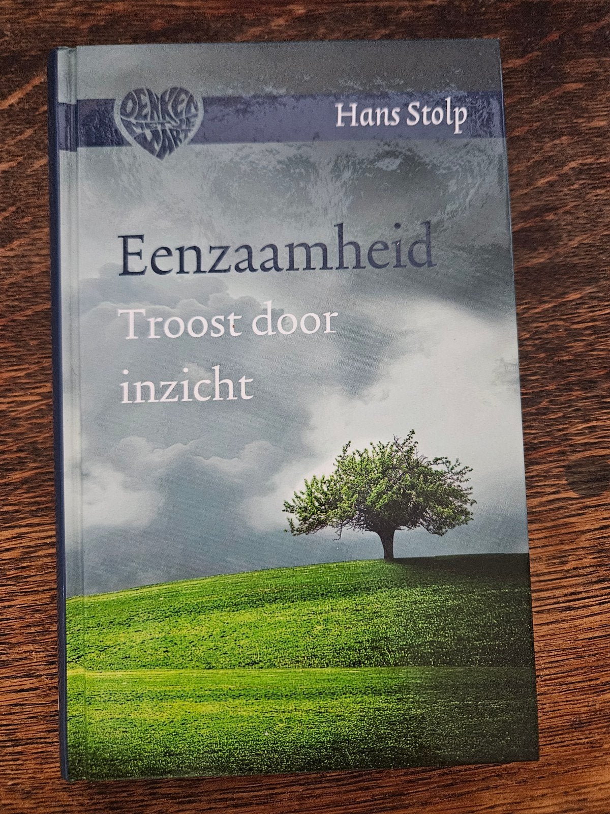 Eenzaamheid: Troost door inzicht - Hans Stolp, Boeken, Ophalen of Verzenden, Zo goed als nieuw, Overige onderwerpen, Hans Stolp