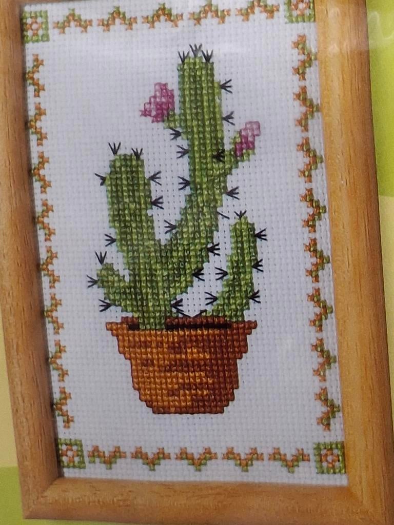 Borduurpakket cactus Cereus, Ophalen of Verzenden, Nieuw, Borduurpakket