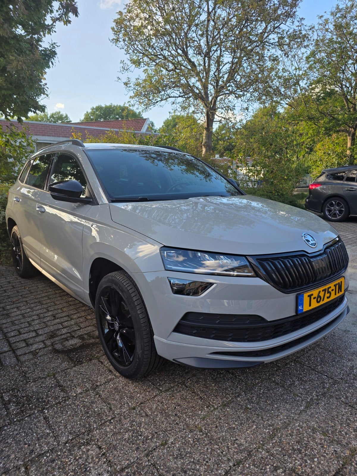 Skoda Karoq 1.5 TSI ACT Greentech 150pk Dsg-7 2019 Grijs, 1498 cc, 4 cilinders, Karoq, 690 kg