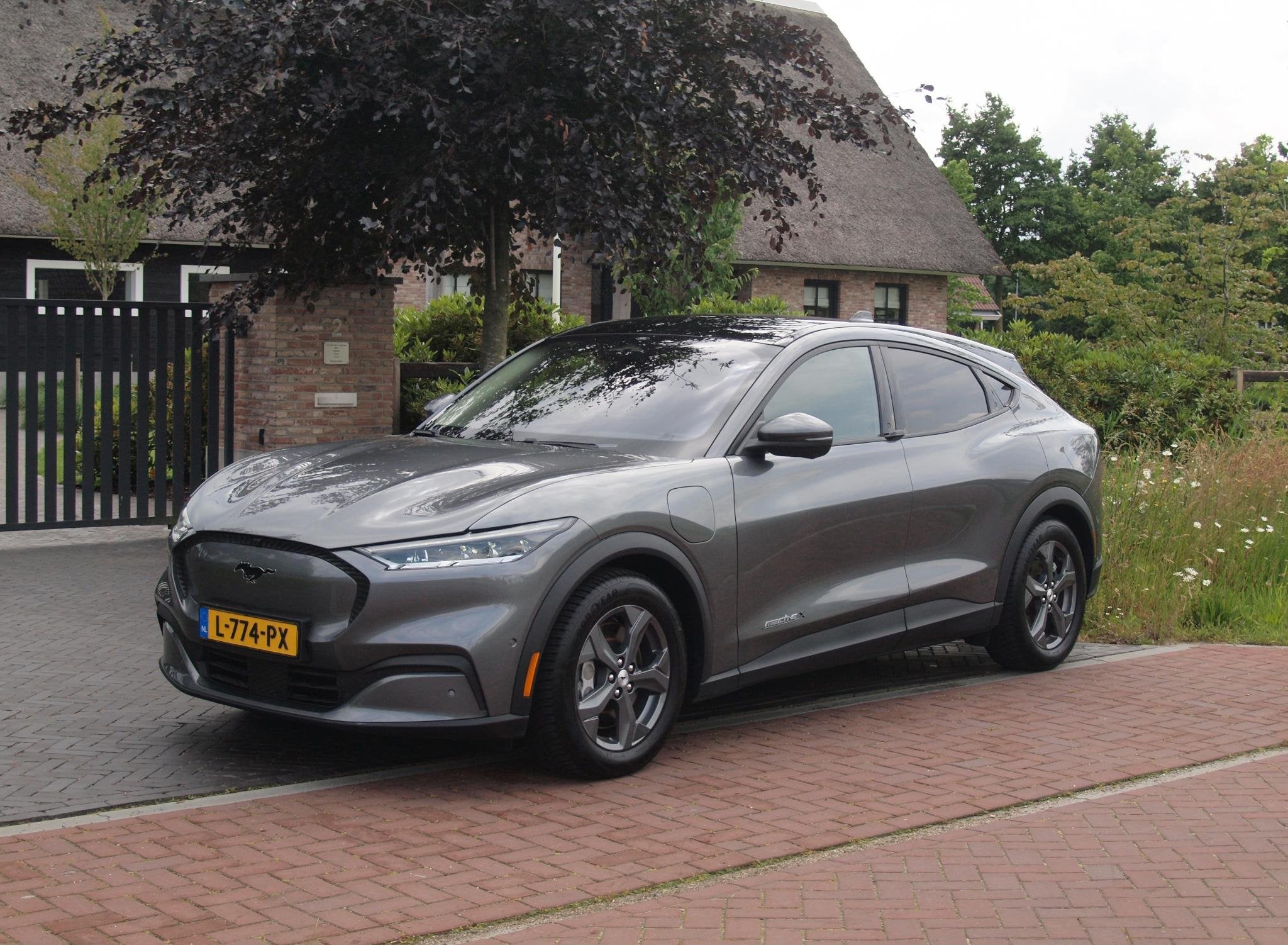 Foto 6 van Ford Mustang Mach-E Extended RWD 98 kWh | Panoramadak | Bang