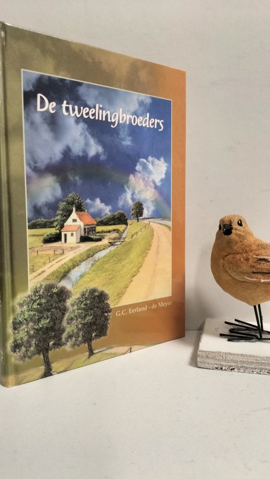 Eerland- de Meyer, G.C.; De tweelingbroeders, Ophalen of Verzenden, Gelezen