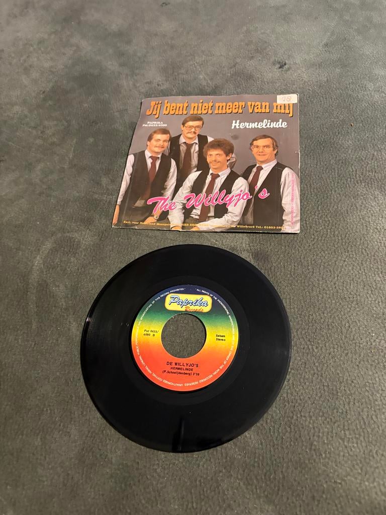 The Willyjo's - Jij bent niet meer van mij / Hermelinde, Gebruikt, Verzenden, 7 inch, Single