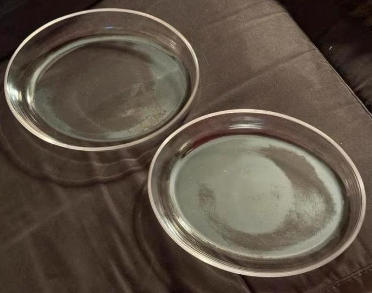 Twee ovale ovenschalen van glas, Ophalen of Verzenden, Gebruikt
