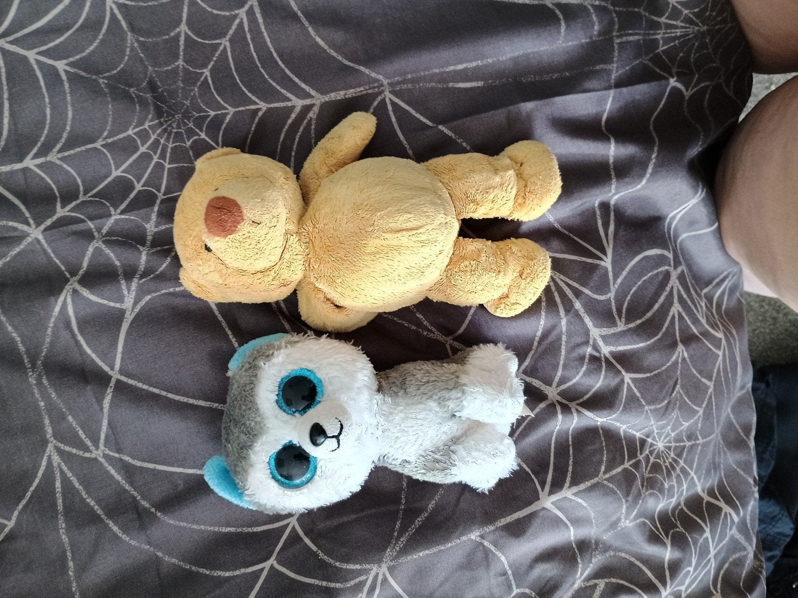 Leuke knuffels: beer en husky, Gebruikt, Beer, Ophalen of Verzenden, Klein (minder dan 20 cm)
