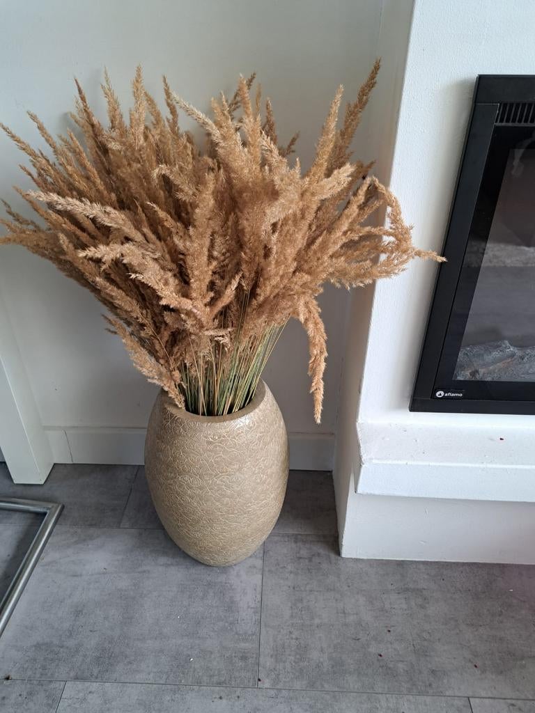 Grote vaas met gedroogde pluimen, 78 cm hoog, Huis en Inrichting, Woonaccessoires | Vazen, Overige materialen, Gebruikt, Overige kleuren