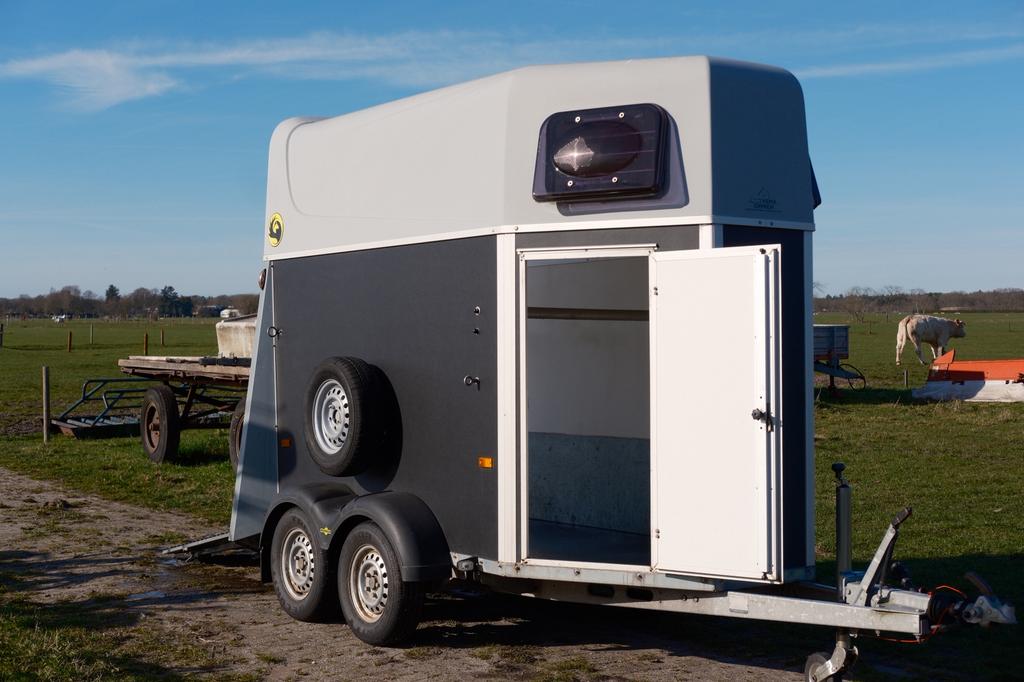 Humbaur Single 1600 | 1,5 paards, Dieren en Toebehoren, Paarden en Pony's | Trailers en Aanhangwagens, Ophalen, Gebruikt, Hout