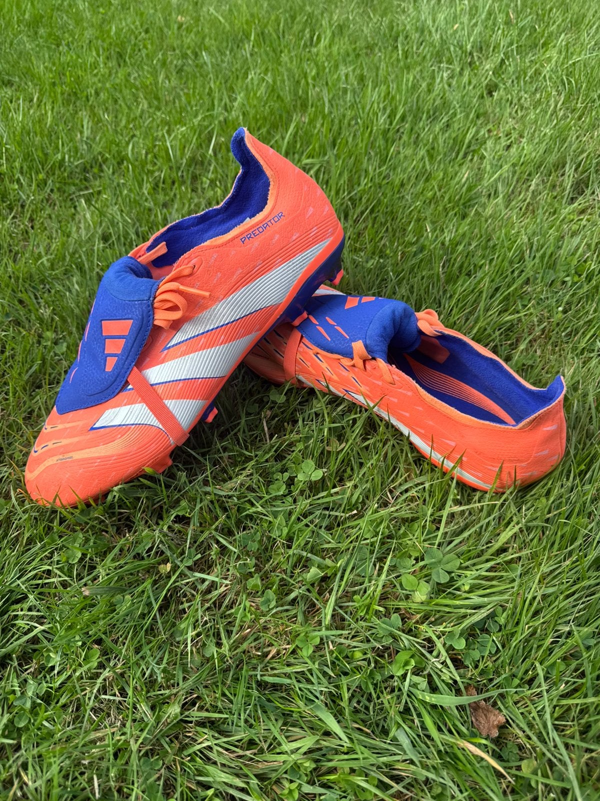 Adidas Predator 44 2/3, Ophalen, Gebruikt, Maat XS of kleiner, Schoenen