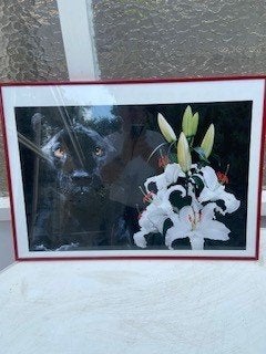 Schildering, modern, Ophalen, Dieren