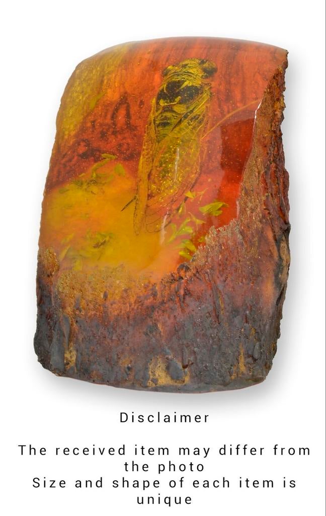 Fossiel insect in amber, Ophalen of Verzenden, Fossiel
