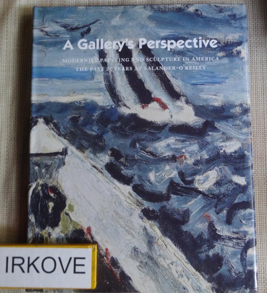 A GALLERY'S PERSPECTIVE * Salander -O'Reilly Galleries New, Boeken, Verzenden, Zo goed als nieuw, Schilder- en Tekenkunst, Salander -O'Reilly Galleries