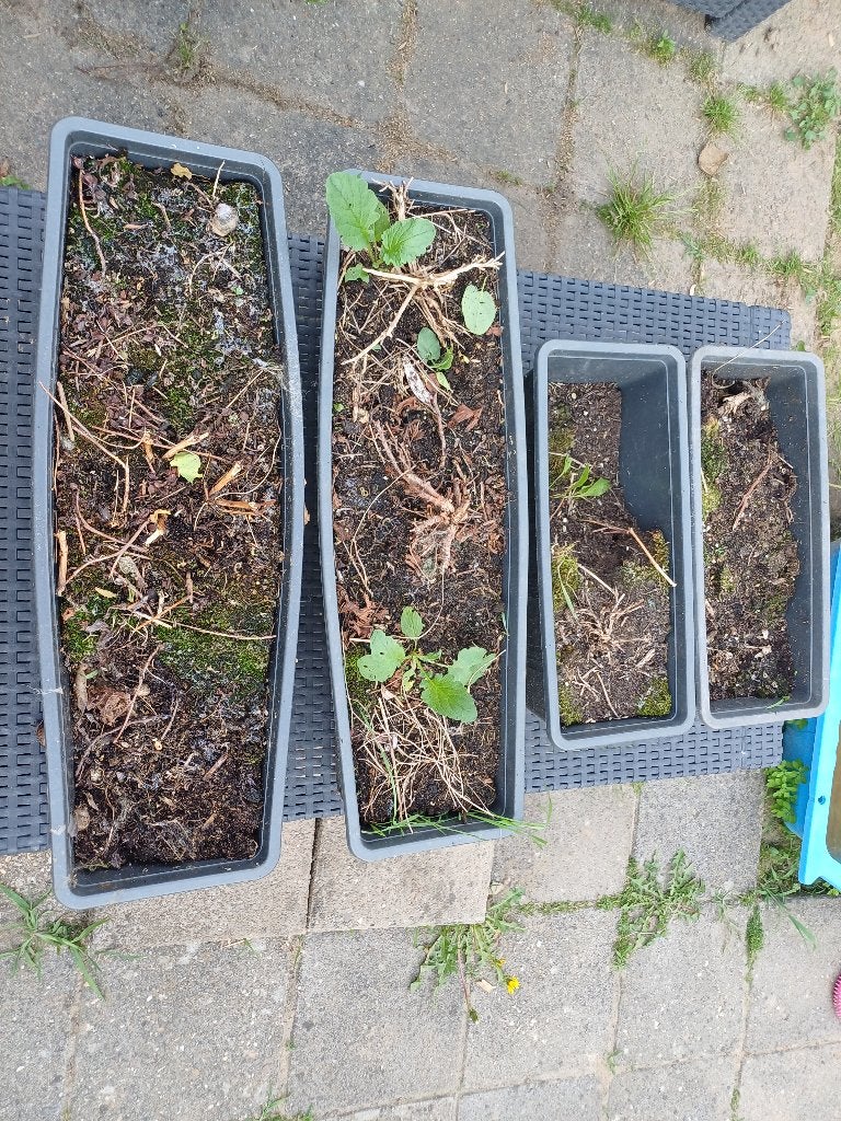 Bloembakken, Ophalen, Kunststof, Gebruikt, Minder dan 30 cm