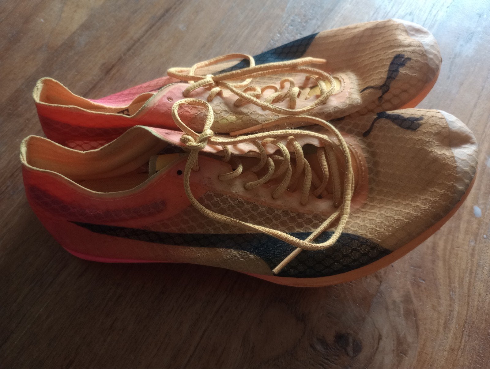 Puma Nitro hardloopschoenen spikes - maat 40, Sport en Fitness, Loopsport en Atletiek, Ophalen of Verzenden, Gebruikt, Hardlopen