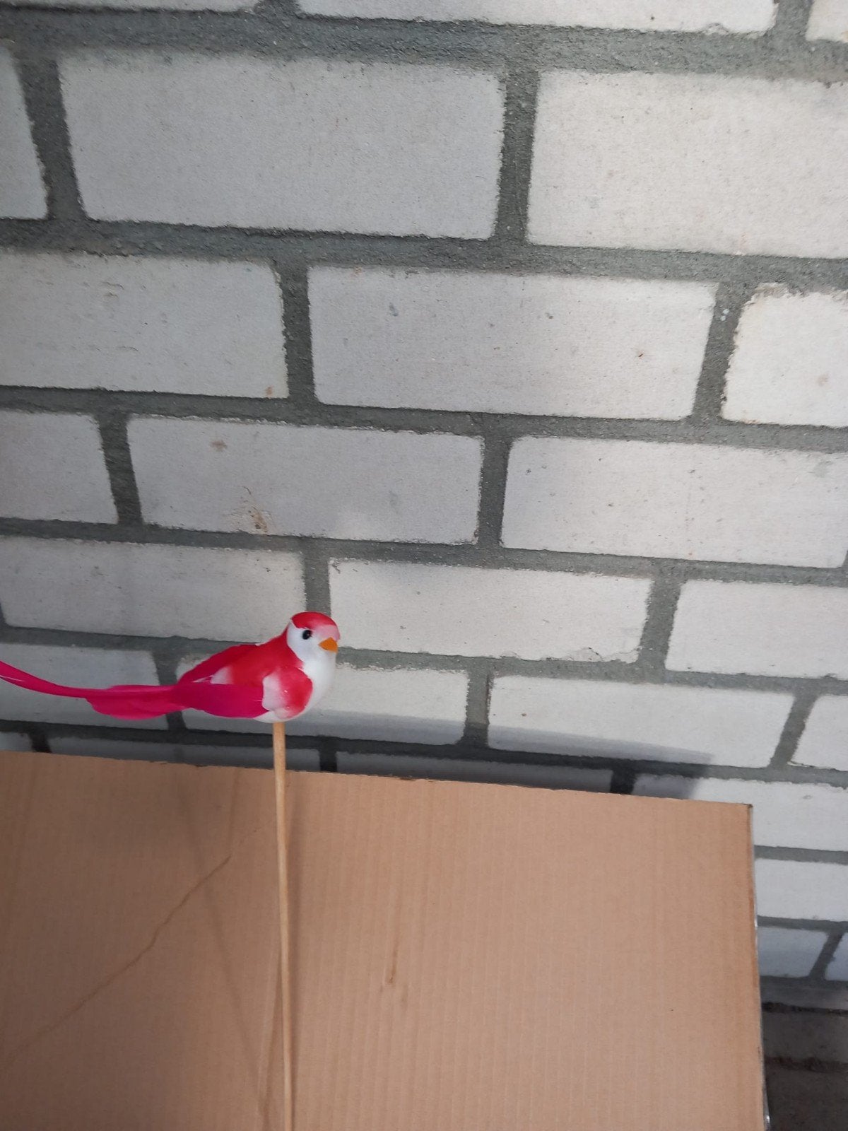 decoratie vogel rood, Ophalen