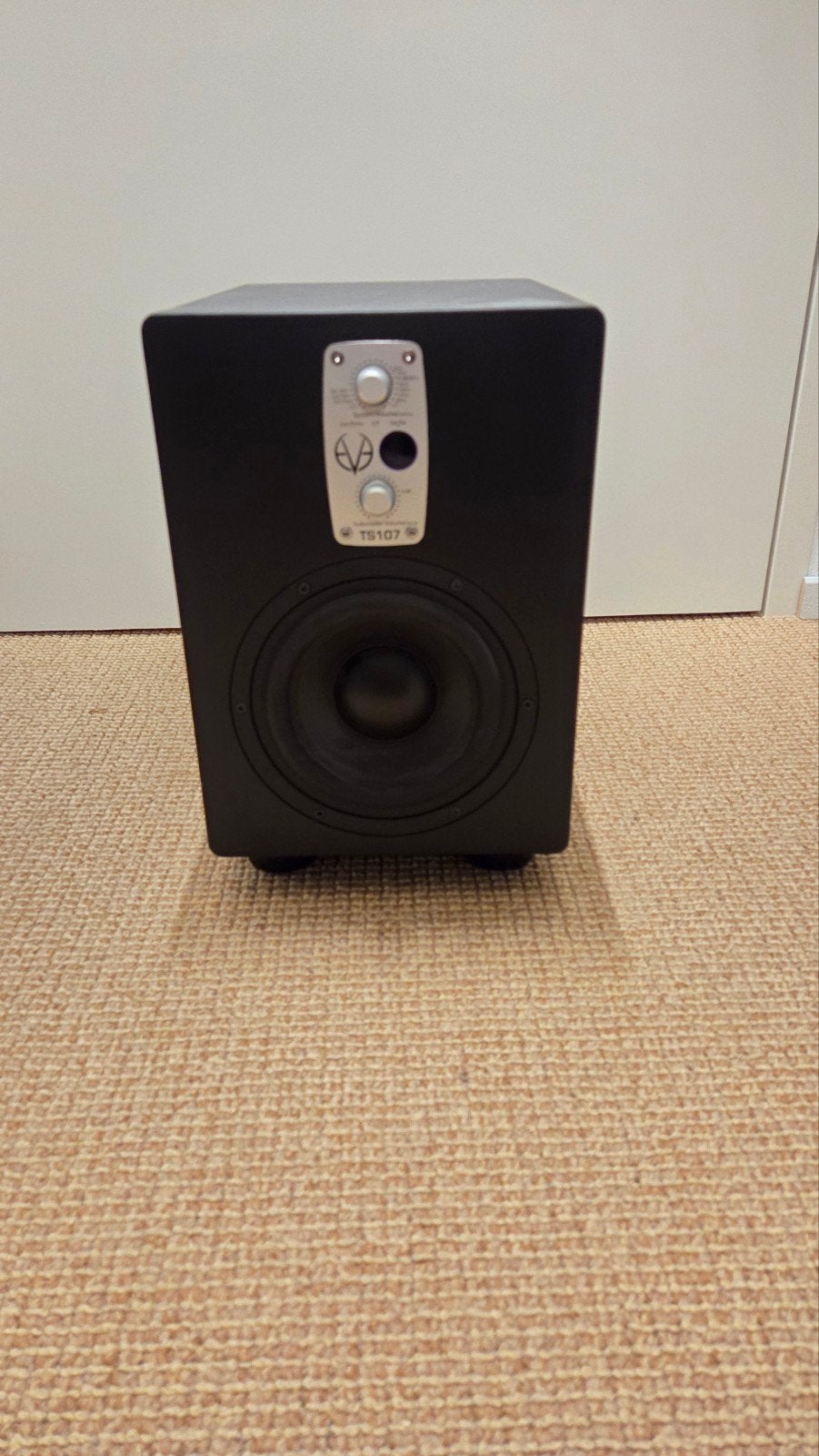 Eve Audio TS107 Subwoofer - Defecte voeding, Ophalen of Verzenden, Niet werkend, Subwoofer, Overige merken