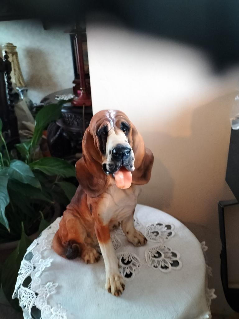 Te koop beeld van een Bloedhond of Sint Hubertus, Ophalen of Verzenden, Zo goed als nieuw, Dier