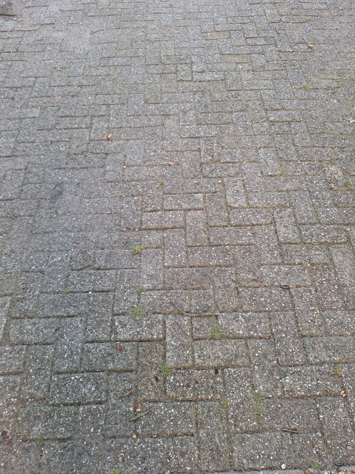 Gratis betonklinkers, ca. 15 m², zelf uithalen, Ophalen, Gebruikt, Klinkers, 10 m² of meer