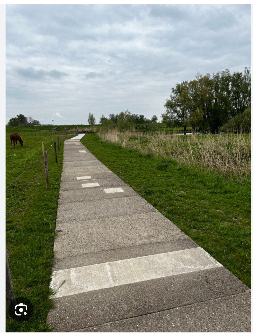 Stelcon platen 218 m2, Doe-het-zelf en Verbouw, Ophalen, Zo goed als nieuw