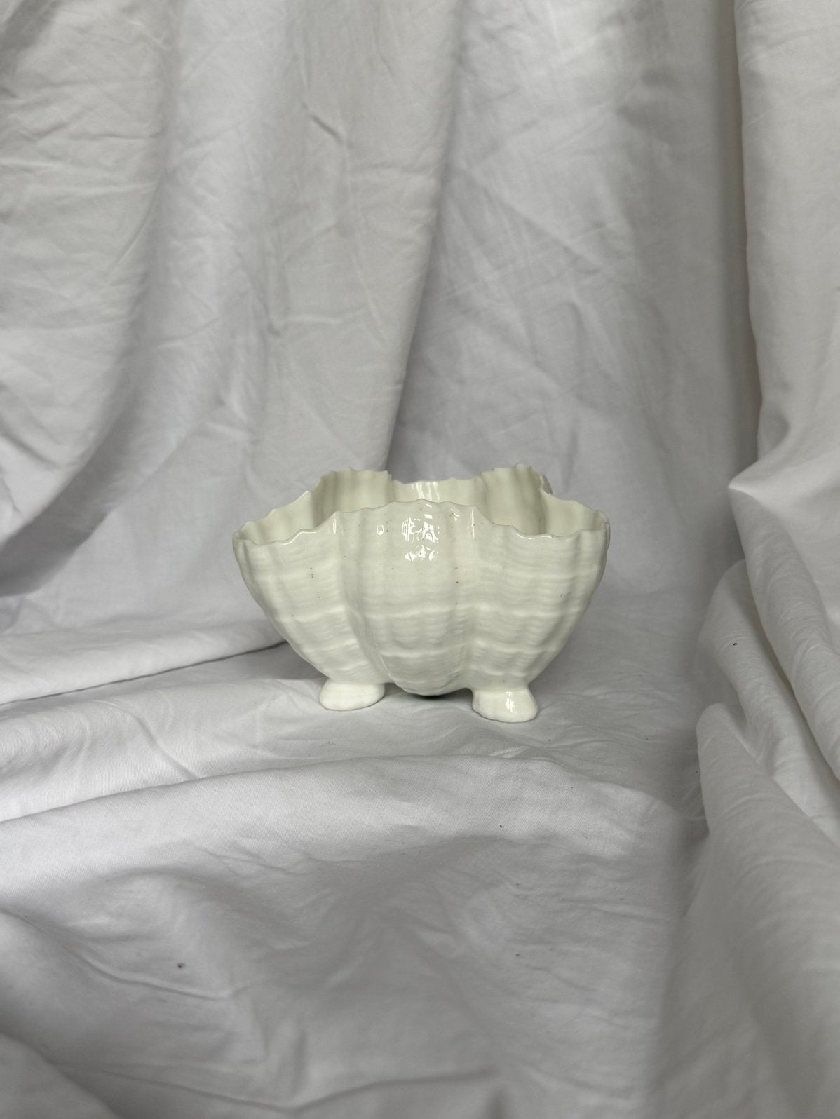 Vintage Royal Worcester porseleinen schelp-schaaltje, Verzenden