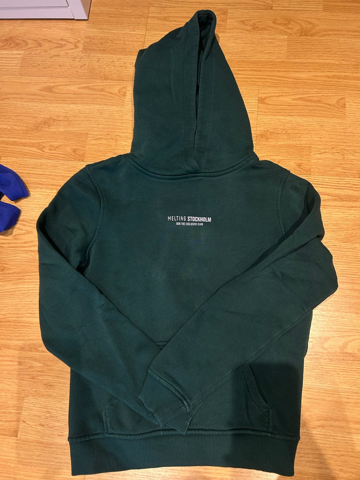Donkergroene Melting Stockholm hoodie maat XS, Kleding | Dames, Truien en Vesten, Ophalen of Verzenden, Gedragen, Maat 34 (XS) of kleiner