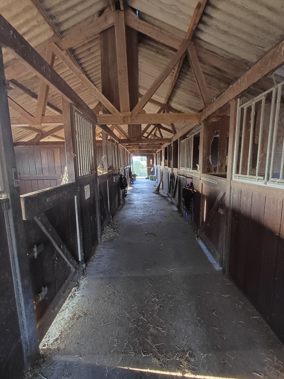Te huur: Paardenbox op  doe-het-zelf, Dieren en Toebehoren
