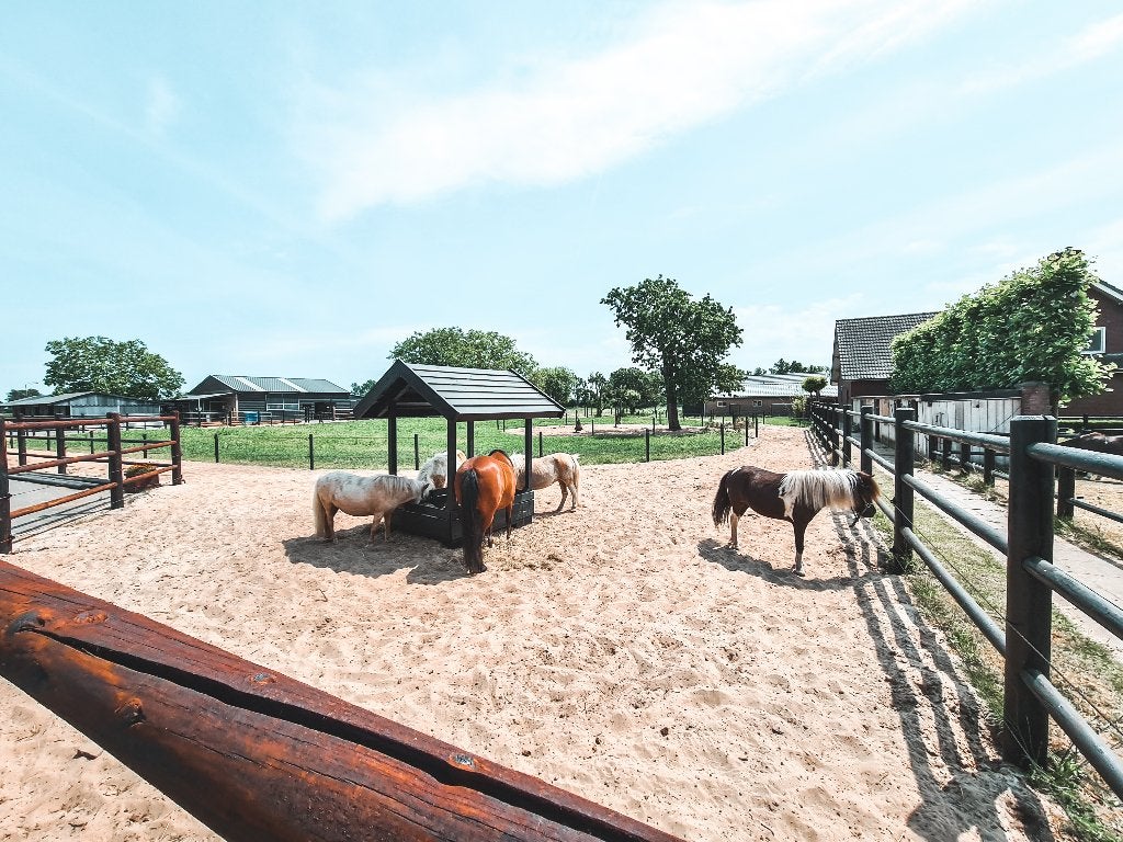 Pensionstal voor pony in paddock paradise 24/7 buiten, Dieren en Toebehoren, Stalling, 1 paard of pony