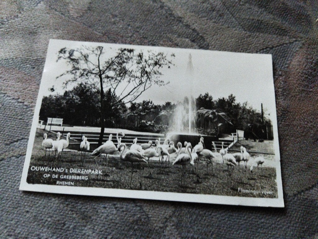 Ansichtkaart Ouwehands Dierenpark 1947, Verzamelen, Ansichtkaarten | Nederland, Ophalen of Verzenden, 1940 tot 1960, Gelopen, Utrecht
