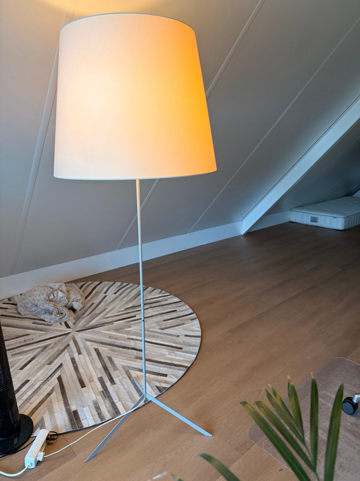 Vloerlamp van het merk Moooi, Ophalen, Gebruikt, E27 (groot), Metaal