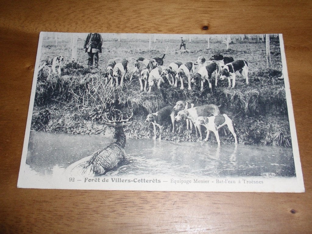 Prooi Wild in het nauw Jacht Jager Frankrijk, Verzenden, Voor 1920, Gelopen, Frankrijk