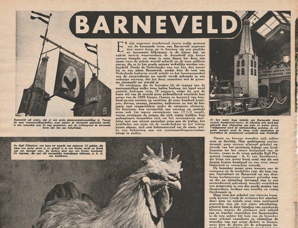 Vintage knipsel 1948 Barneveld stadje met eieren en kippen, Verzenden, 1940 tot 1960, Nederland, Knipsel(s)