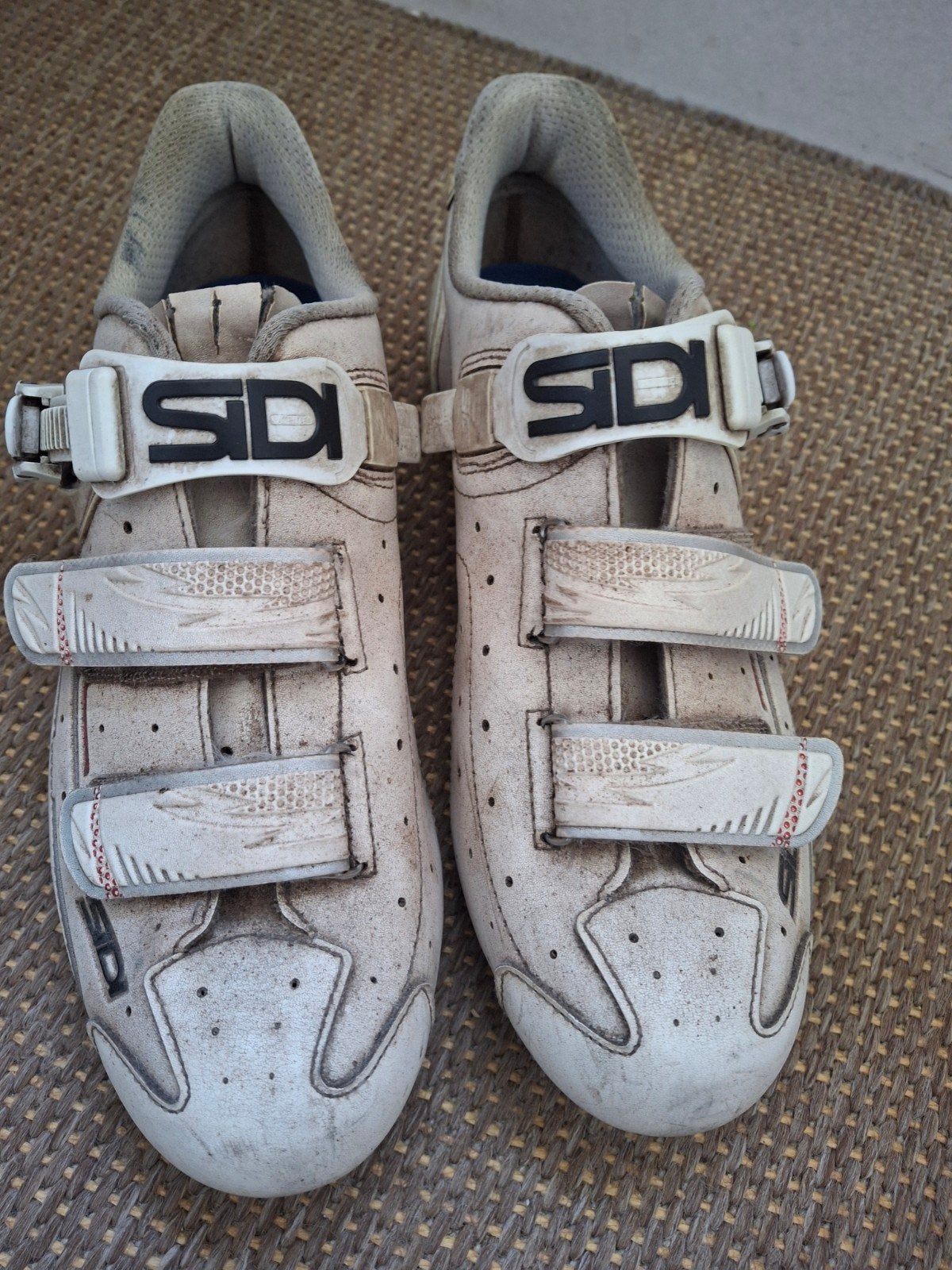Sidi Carbon Racefiets Schoenen - Maat 43, Gebruikt, Heren, Schoenen, Overige maten