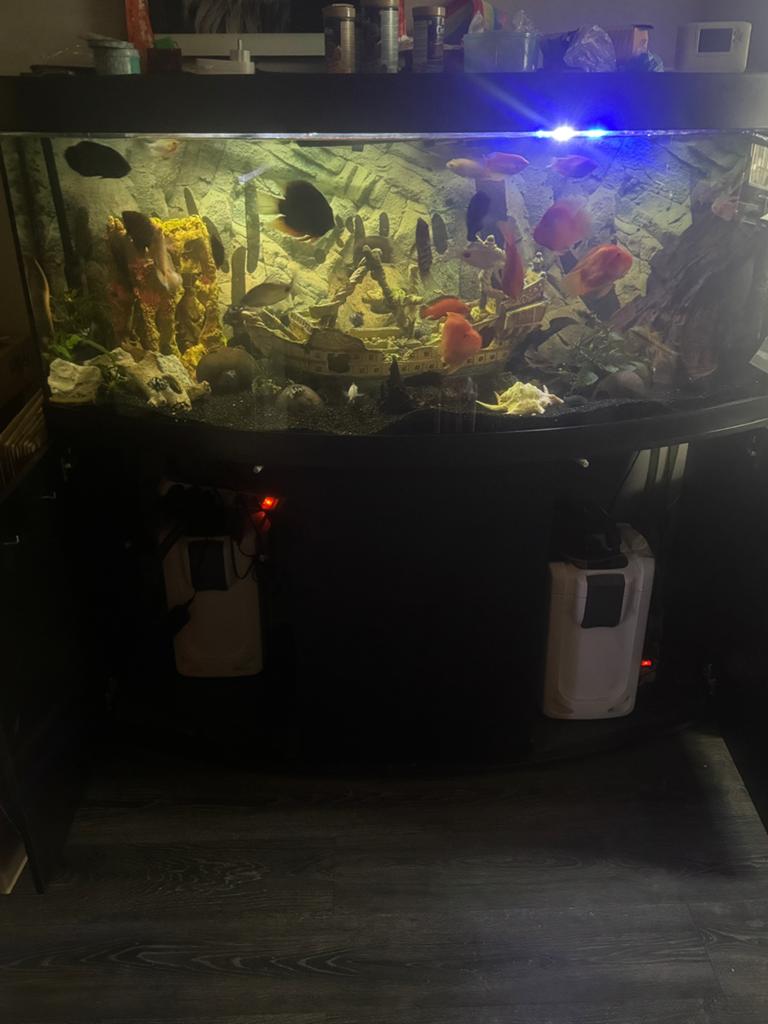Aquarium 450L, Dieren en Toebehoren, Ophalen, Aquariummeubel, Zo goed als nieuw, Juwel