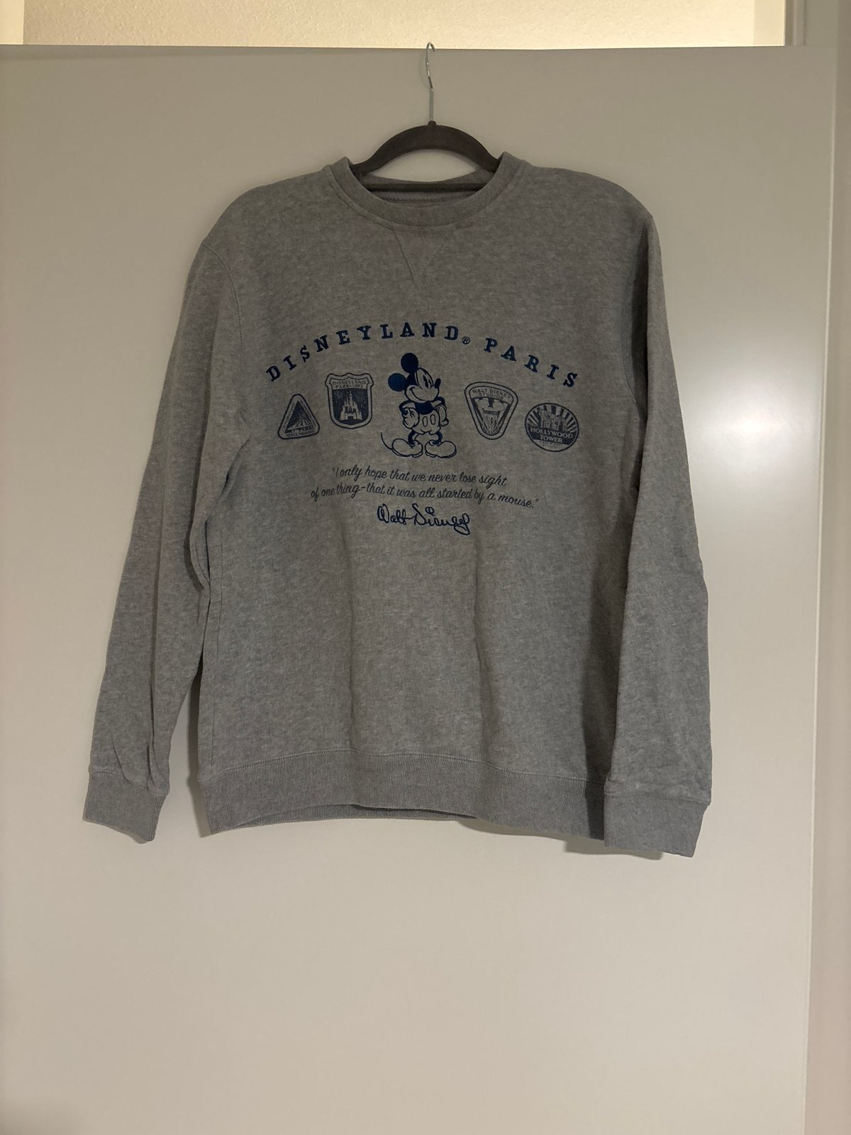 Disneyland Parijs Mickey Mouse Sweater Maat S, Kleding | Dames, Ophalen of Verzenden, Zo goed als nieuw, Maat 36 (S), Grijs
