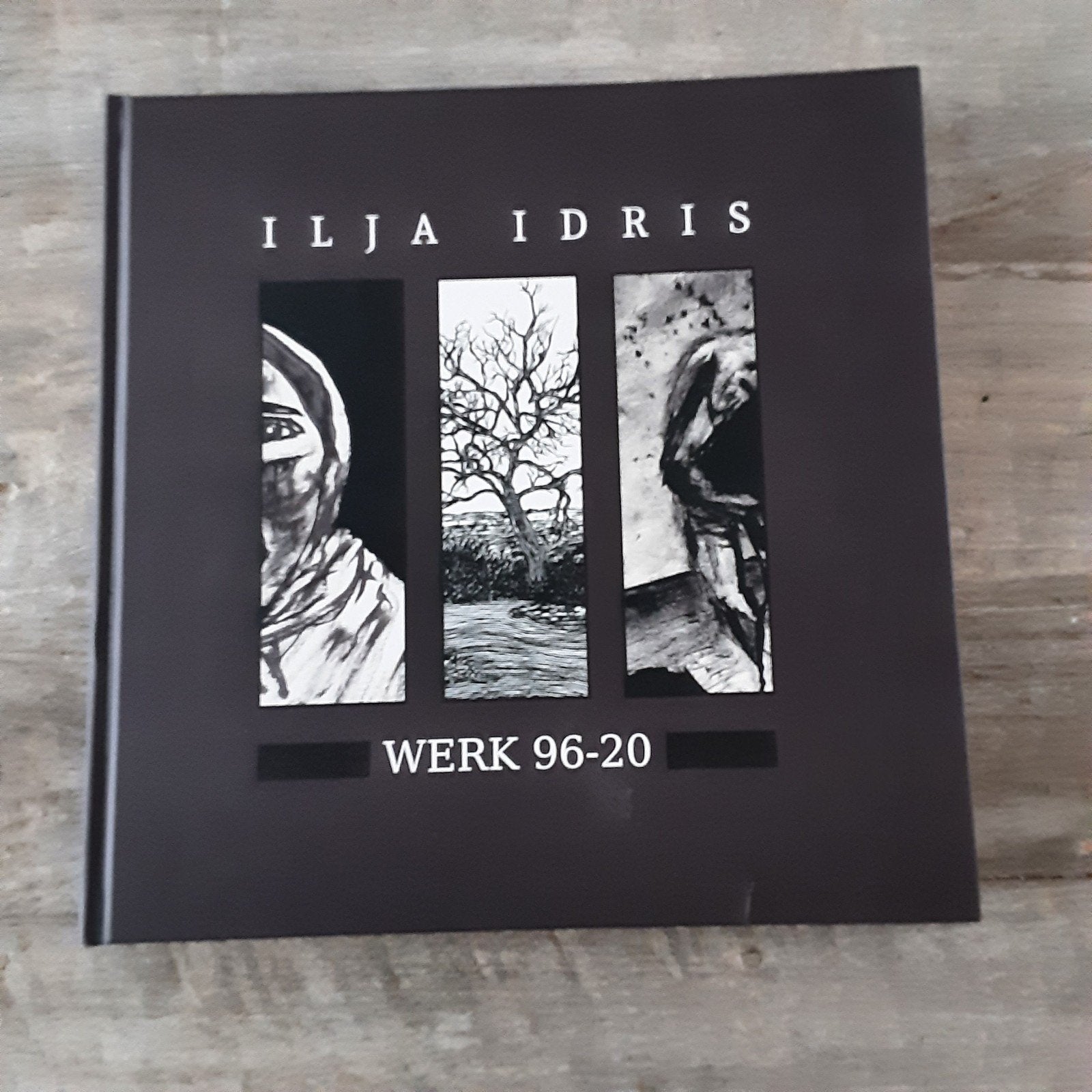 Ilja Idris - Werk 96-20 Kunstboek, Ophalen, Zo goed als nieuw, Ilja Idris, Nederland