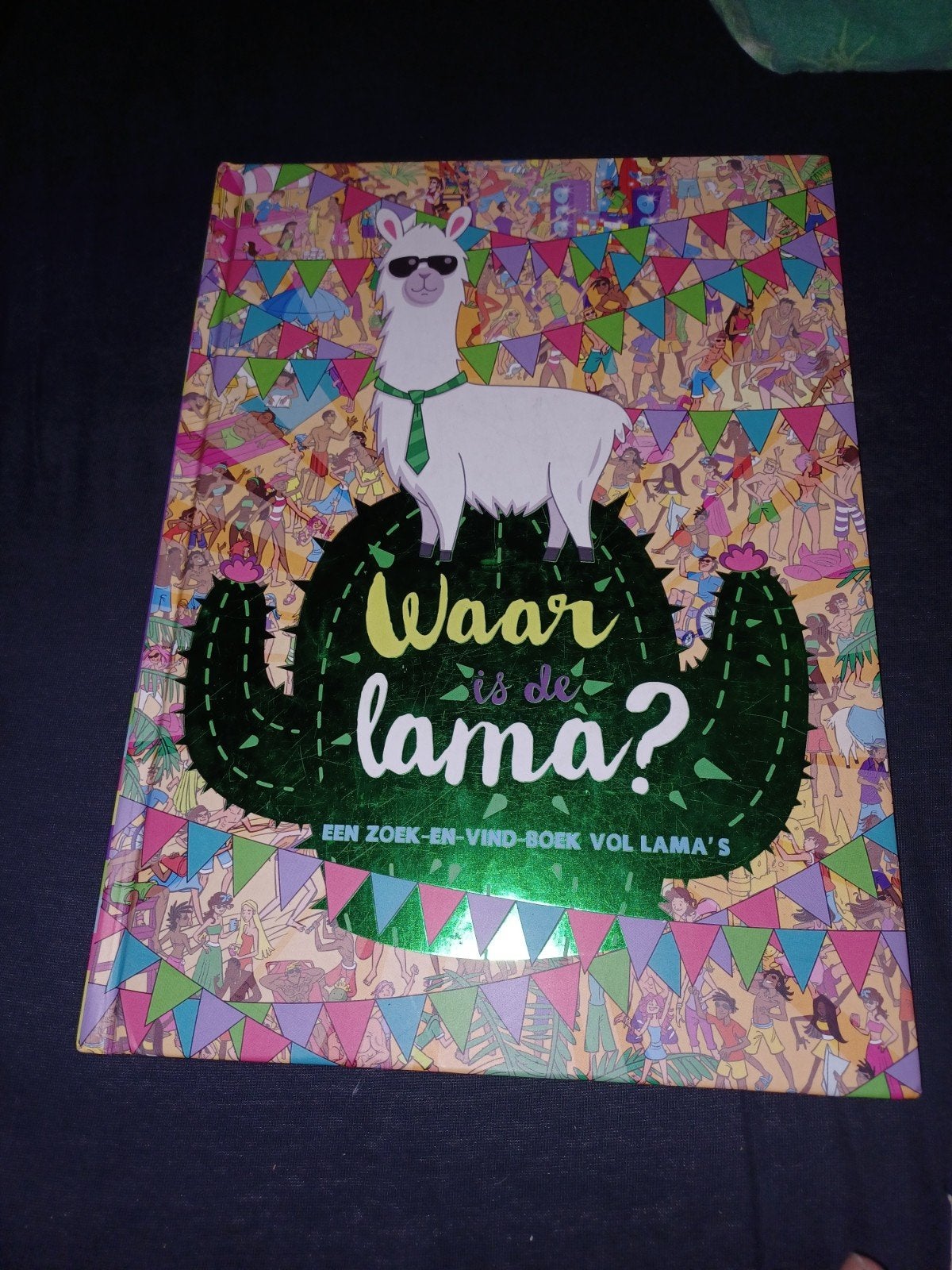 Waar is de lama? Zoek- en vindboek vol lama's, Boeken, Ophalen of Verzenden, Zo goed als nieuw, Diverse auteurs, Non-fictie
