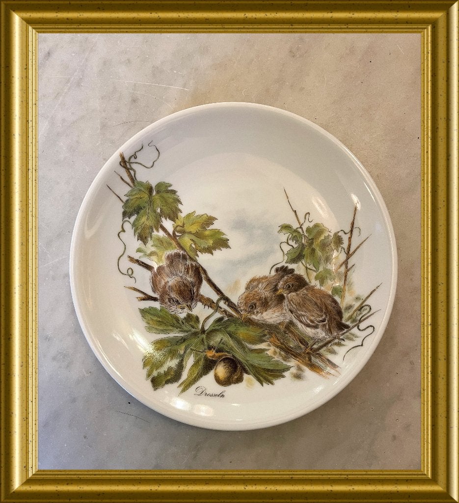 Vohenstrauss Johann Seltmann Bavaria porseleinen vogel bord, Ophalen of Verzenden