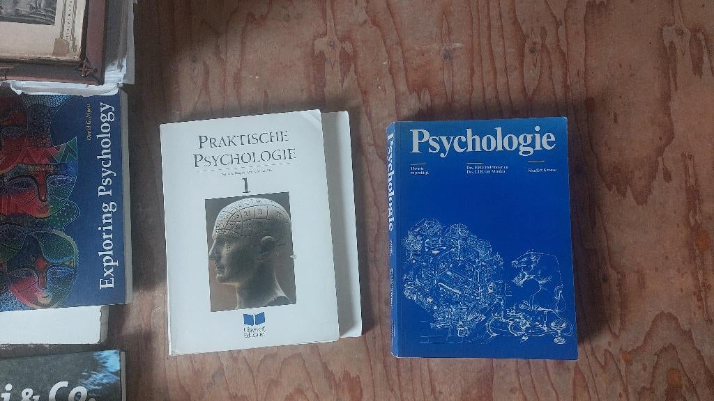 Psychologie- theorie en praktijk - Holzhauer e.a., Ophalen of Verzenden, Zo goed als nieuw