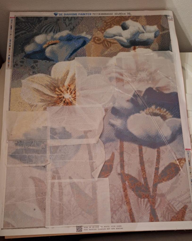 Hele mooie Diamond painting (60cmX80cm)set!, Ophalen