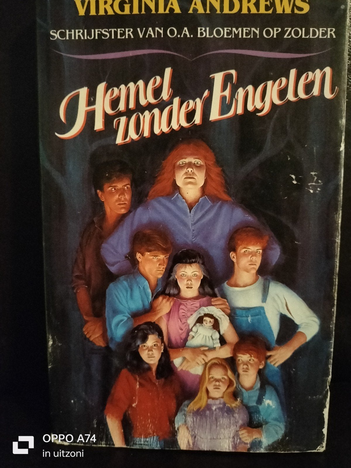 Hemel zonder Engelen - Virginia Andrews, Boeken, Ophalen of Verzenden, Gelezen, Virginia Andrews, Nederland
