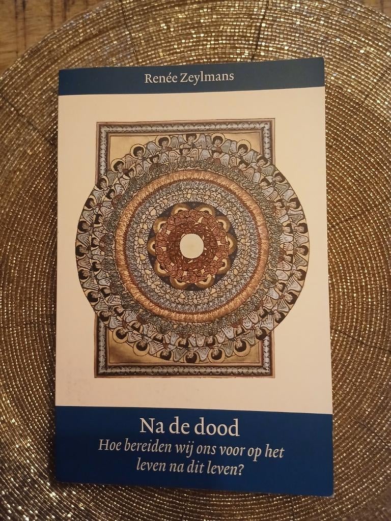 Renée Zeylmans - Na de dood, Renée Zeylmans, Ophalen of Verzenden, Zo goed als nieuw, Natuurwetenschap