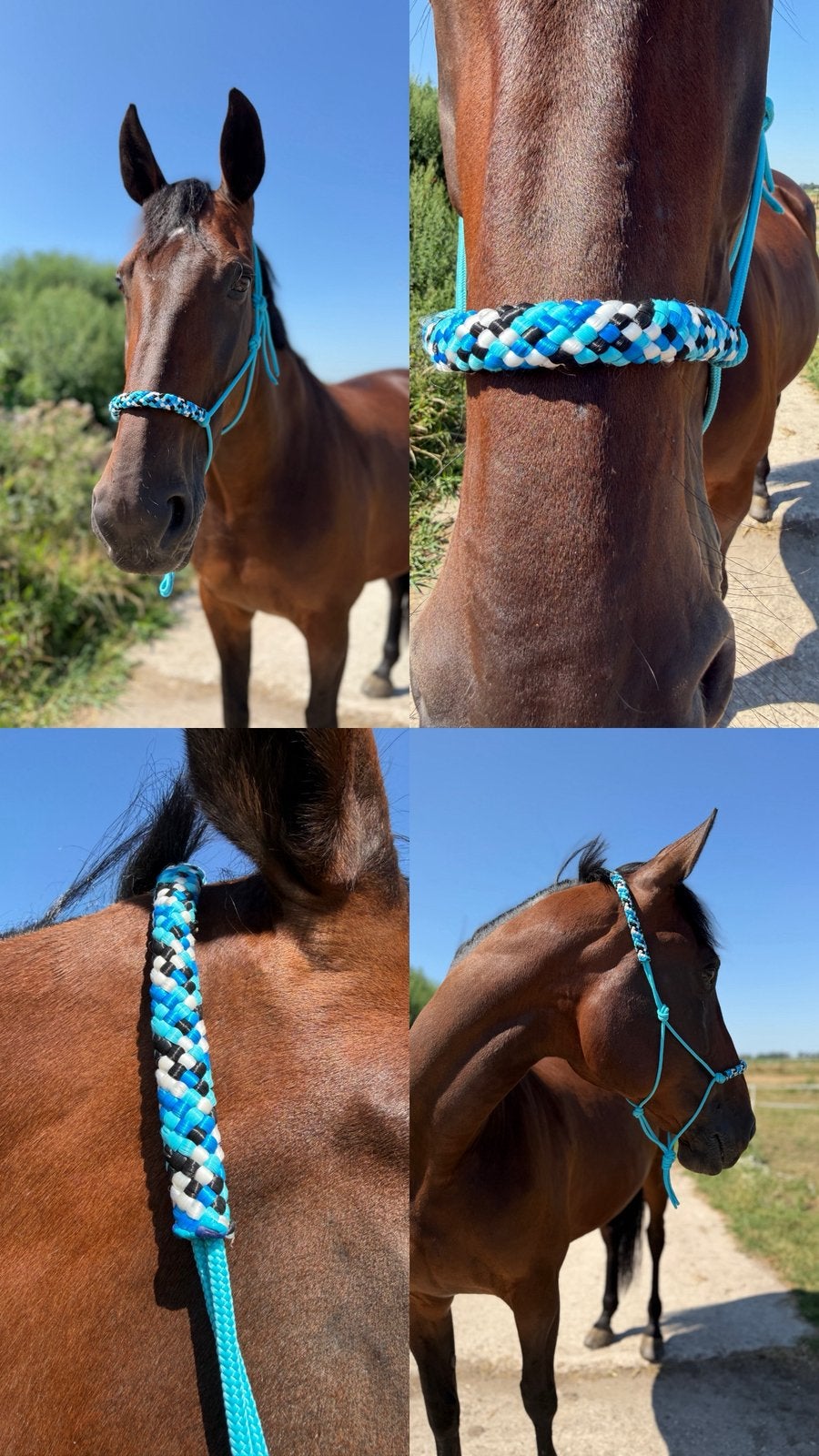 Blauw touw halster, Ophalen of Verzenden